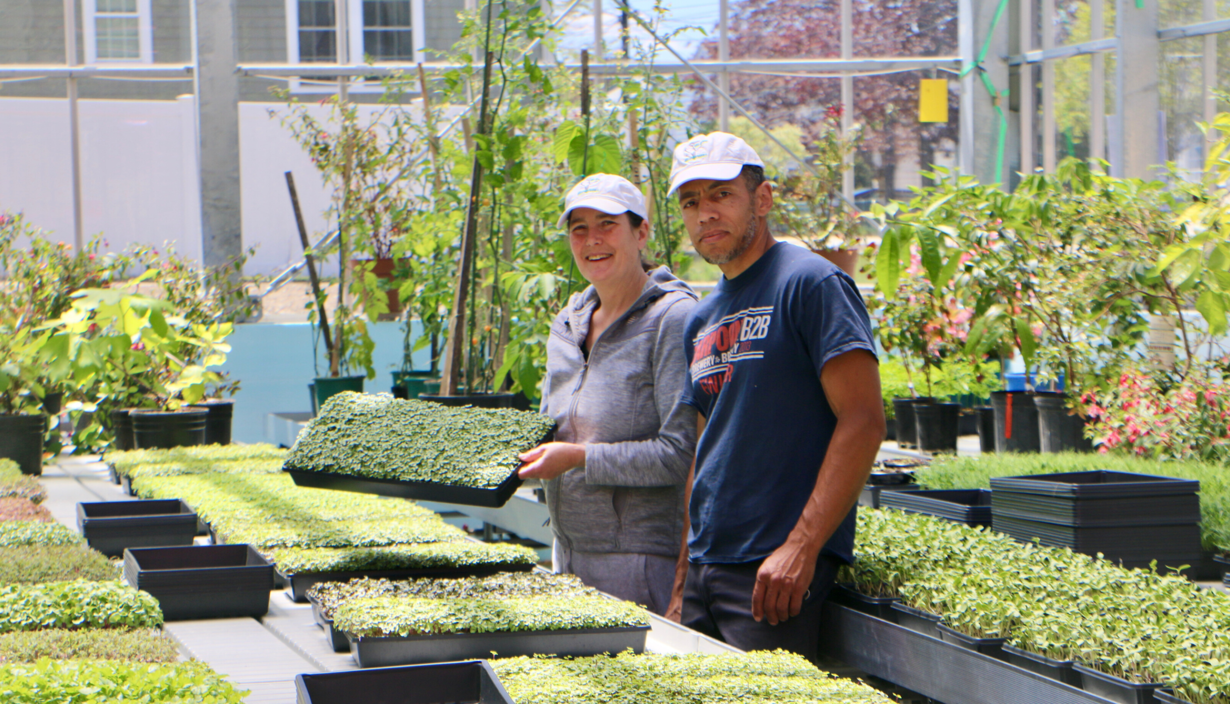 Man and Woman in green house