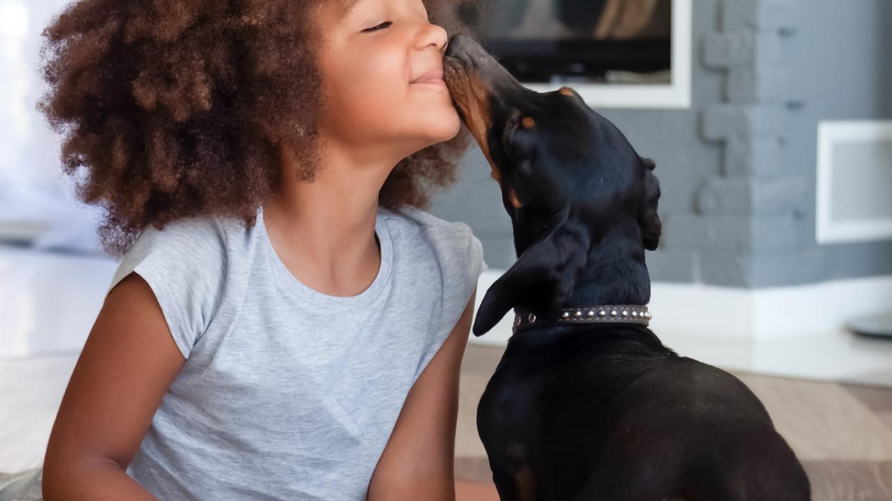 Child with dog
