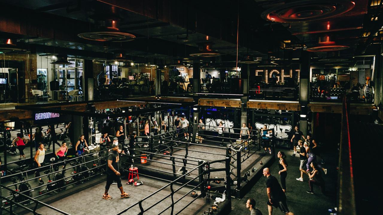 Everybody Fights gym